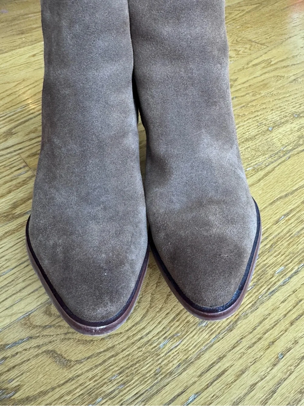 Sam Edelman Brown Suede Ankle Boots with Block heel,Neutral, Versatile,Chocolate